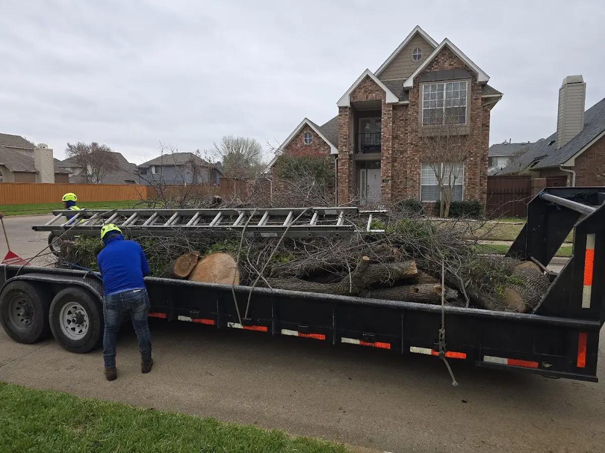 Expert Tree Removal with proper safety equipment in Lenapah